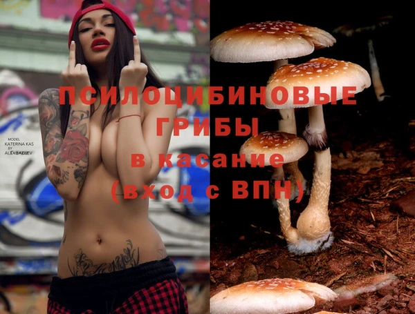 mix Гусь-Хрустальный