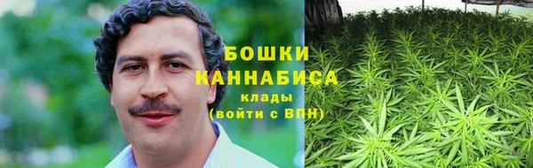 скорость Гусев