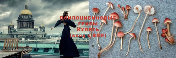 скорость Гусев