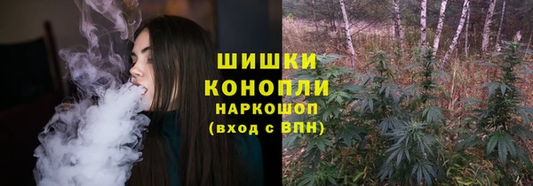 гидра Сосновоборск