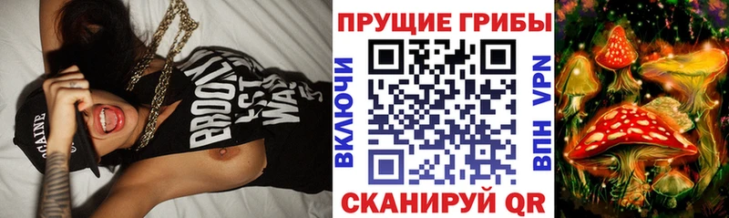 KRAKEN онион Верхняя Пышма Псилоцибиновые грибы Magic Shrooms наркотики