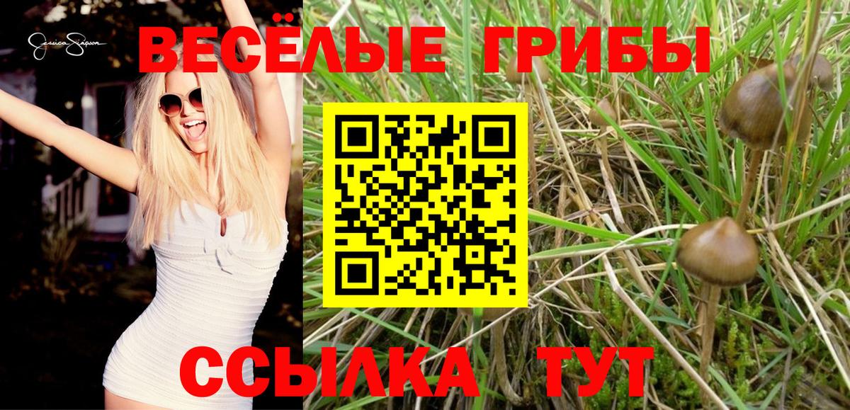 Галлюциногенные грибы ЛСД  Верхняя Пышма  Псилоцибиновые грибы ЛСД 