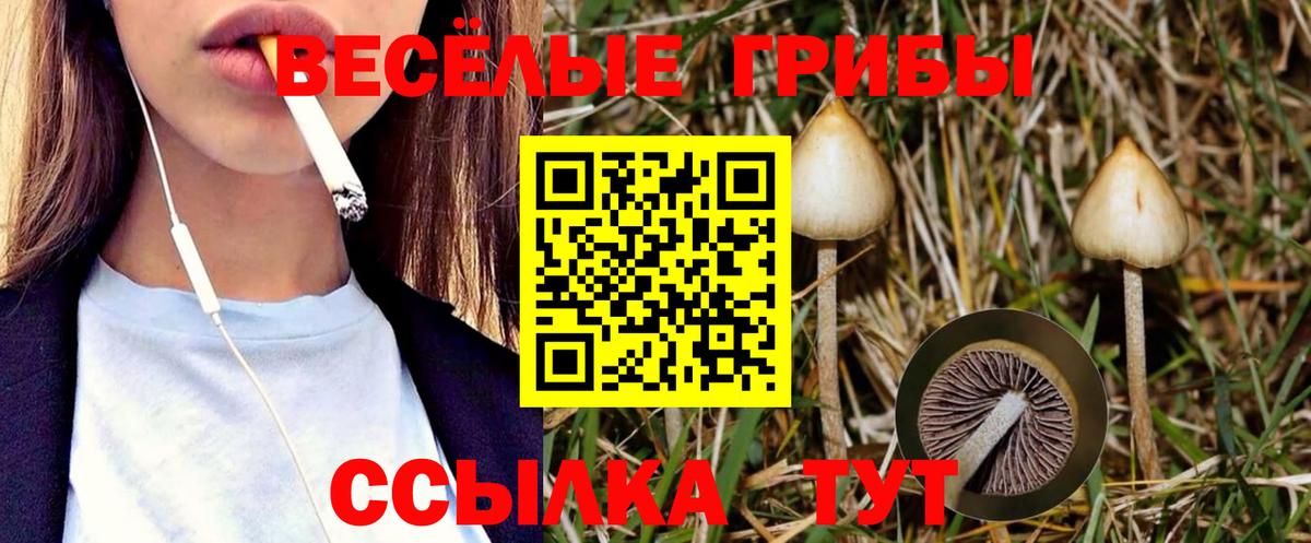 Галлюциногенные грибы MAGIC MUSHROOMS Верхняя Пышма
