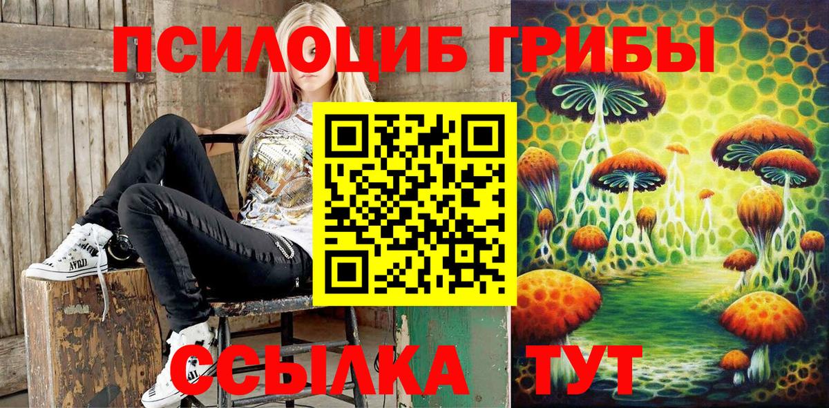 Галлюциногенные грибы мицелий  Вход с VPN  Псилоцибиновые грибы прущие грибы  Верхняя Пышма 