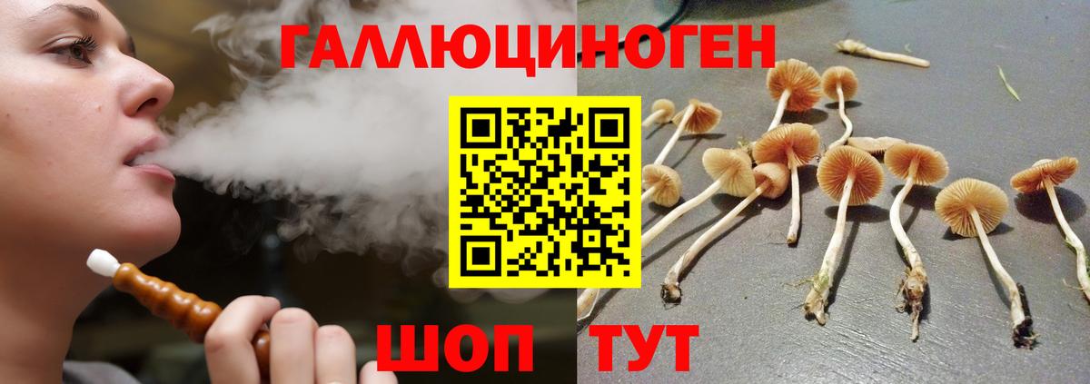 Псилоцибиновые грибы ЛСД Верхняя Пышма